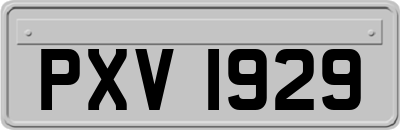 PXV1929