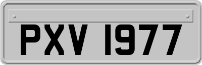 PXV1977