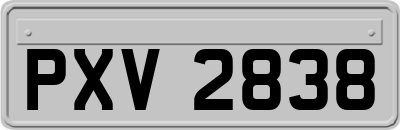 PXV2838