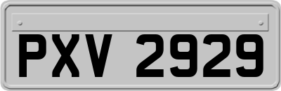 PXV2929