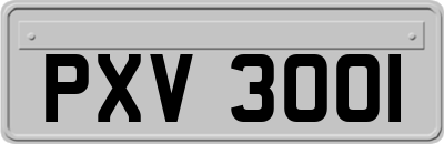 PXV3001