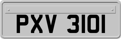 PXV3101