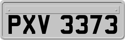 PXV3373