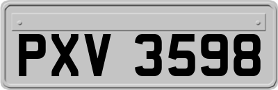 PXV3598