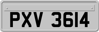 PXV3614