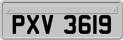 PXV3619