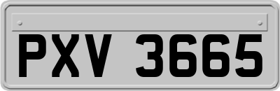 PXV3665