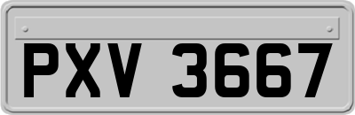 PXV3667