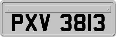 PXV3813