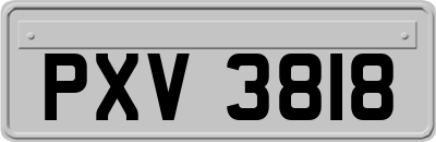 PXV3818