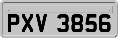 PXV3856