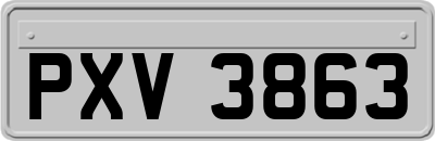 PXV3863