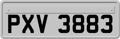 PXV3883