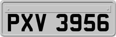 PXV3956