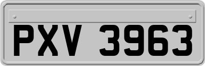 PXV3963