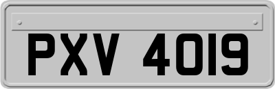 PXV4019