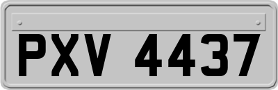 PXV4437