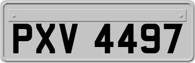 PXV4497