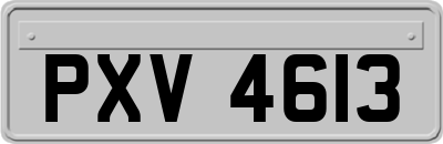 PXV4613