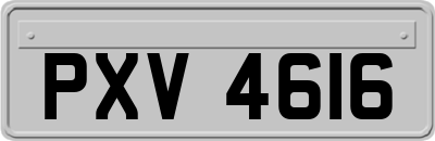 PXV4616