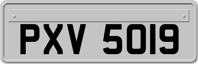 PXV5019