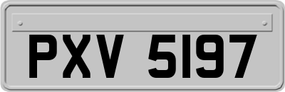 PXV5197