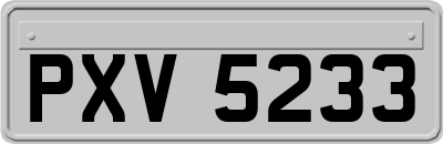 PXV5233