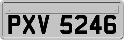 PXV5246