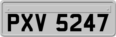 PXV5247