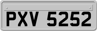 PXV5252