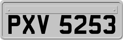 PXV5253