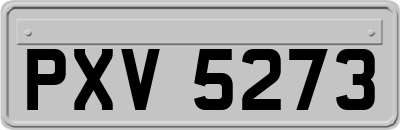 PXV5273