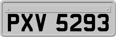 PXV5293