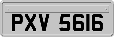 PXV5616