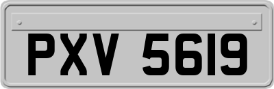 PXV5619