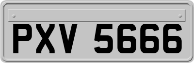 PXV5666