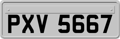 PXV5667