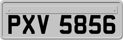 PXV5856