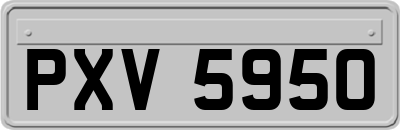 PXV5950