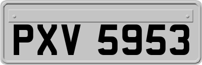 PXV5953