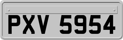 PXV5954