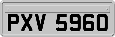 PXV5960