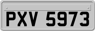 PXV5973