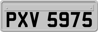 PXV5975