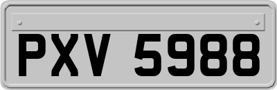 PXV5988