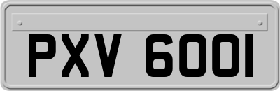 PXV6001