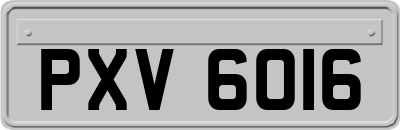 PXV6016