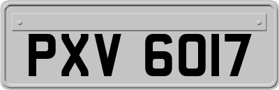 PXV6017