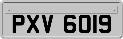 PXV6019