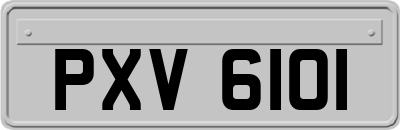 PXV6101